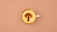 What is mushroom coffee and are there any health benefits?