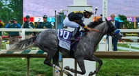 A horse almost didn't race in the Preakness. Thanks to a jockey's suggestion, it won.