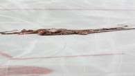 Why do Red Wings fans throw octopuses on the ice?