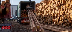 Deutsches Holz für die Welt