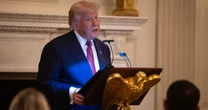 ¿Cuántos días faltan para que entren en vigor los aranceles a México de 30% que anunció Trump?