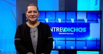 ‘No perdamos lo que ya ganamos’, sostiene Guadalupe Taddei sobre reforma electoral 