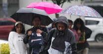 Agosto arranca lluvioso: ¿Qué estados serán afectados por la onda tropical no. 20?
