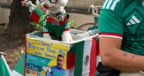 Pato Merlín y sus amigos: La historia de Osito, el poodle rescatado que roba corazones en el Mundial 2026