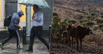 ¿‘El Niño’ toma fuerza antes de tiempo? Fechas clave y todo lo que sabemos