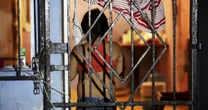 Van 750 menores asesinados en el actual gobierno, revelan datos del SESNSP 