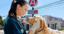 ¿Qué sabemos de las veterinarias de Farmacias del Ahorro, donde darán consultas gratis?