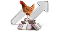 Esto no gusta a los fitness: Precio del pollo ‘vuela’ en lo que va del año