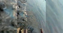Derrame de hidrocarburo en Paraíso, Tabasco: Investigan causas del incidente