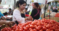 Precio del jitomate se dispara nuevamente, y no por Trump: ¿Por qué motivo es más caro en México y EU?