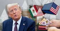 ¿Trump ‘da su brazo a torcer’ en aranceles? Analiza excepciones agrícolas para México y Canadá