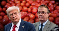 ‘Impuesto al jitomate no es un arancel’: Ebrard asegura que Trump solo aplicó una ‘cuota compensatoria’