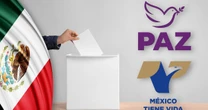‘Empiezan los juegos’: INE decidirá este jueves qué partidos políticos obtendrán su registro
