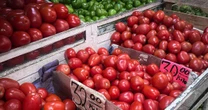 Ya valió ketchup: EU confirma arancel de 17% al jitomate mexicano