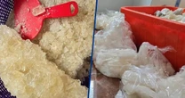 Golpe de Harfuch al narcotráfico: Decomisan 800 kilos de metanfetamina en Michoacán; arrestan a 2 personas