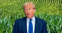Donald Trump cambia de opinión y reactiva redadas contra el sector agrícola