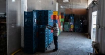 Exportaciones a EU marcan récord en julio; 85% con T-MEC