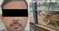 Detienen a José Antonio ‘N’, líder de célula del Cártel del Noroeste, por huachicol; le aseguran 7 tigres