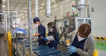 Actividad económica en el país perfila estancamiento