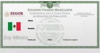 ¿Cómo consultar mi CURP?
