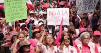 Marea Rosa se manifiesta a las afueras del INE: ‘Abre la puerta, Taddei’