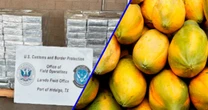 Escondida en papayas: Así traficaban metanfetamina de México a Texas por el Puente Internacional de Pharr 