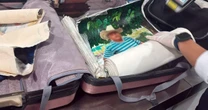Como lo vio en televisión: Detienen a una persona en el AICM; traía lienzos con cocaína adherida a la pintura