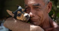 Lomitos de la Sedena rescatan a ‘Sarita’, perrita que sobrevivió bajo los escombros en Venezuela