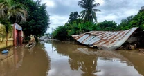 ¿Qué es la leptospirosis, la enfermedad que tiene a Quintana Roo en alerta y se da en temporada de lluvias?