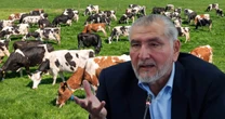 ¿Qué negocios construyeron la fortuna de Adán Augusto López? ‘Me concentré en la ganadería’
