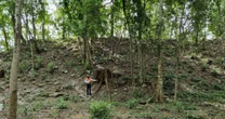 INAH confirma una ciudad maya monumental ocultra en la selva de Quintana Roo: Así es ‘El Jefeciño’