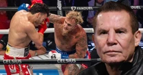 ‘¡Vamos, hijo!’: El regaño viral de Julio César Chávez padre en pelea de Jr. vs. Jake Paul