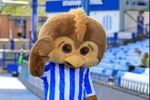 Sheff Wed mascot releases statement after protesting against owner