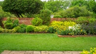 Gardeners urged to not cut grass if they want it to be thick & green