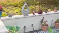 I bought a Temu picket fence to keep my dog off garden wall, it was an epic fail
