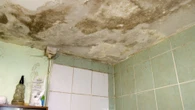 We’re left to rot in mouldy 'dump' estate yards from famous millionaires' row