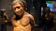 Ancient meal loved by Neanderthals is dieter's dream – would YOU eat sick dish?