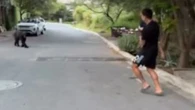 Dramatic moment World Cup winner runs away from bear while carrying daughter