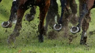 TWELVE racecourses could be BANNED from hosting fixtures under new rule