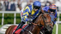 Tragedy as iconic horse Trueshan dies at Goodwood after suffering serious injury