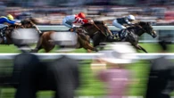'His price will collapse' - Templegate's ante-post tips for a big week of racing