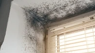 The exact time you should open your windows for 15 minutes a day to avoid mould