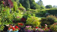 Why you should let grass go brown & six other ways to summer proof your garden