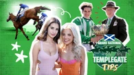 Templegate's Scottish Grand National tip, runner guide and 1-2-3-4 prediction