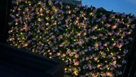 Shoppers run to Home Bargains for 'great value' buy that lights up your garden
