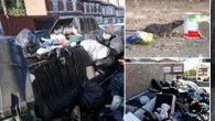 UK's 'third world city' hit with 'RAT TAX' if residents call pest controllers