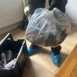 Monster '22-INCH' rat 'as big as a cat' found in UK home - and it's not the first