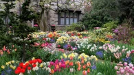 I decorated my garden with flowers – then my nosy neighbour asked if I had died