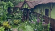 My parents transformed their council estate garden, folk say it's a paradise