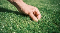 Garden pro issues major artificial lawn warning, kids & pets could be at risk